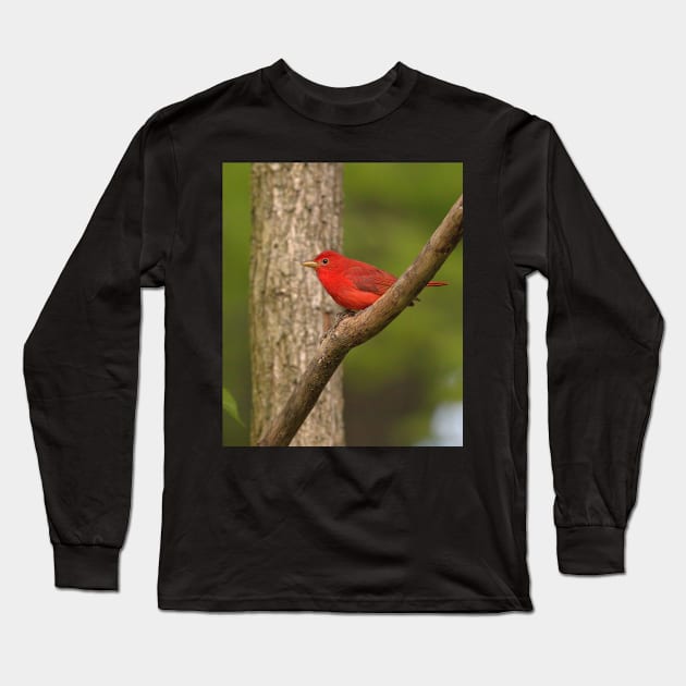 Summer Tanager Long Sleeve T-Shirt by BirdsnStuff